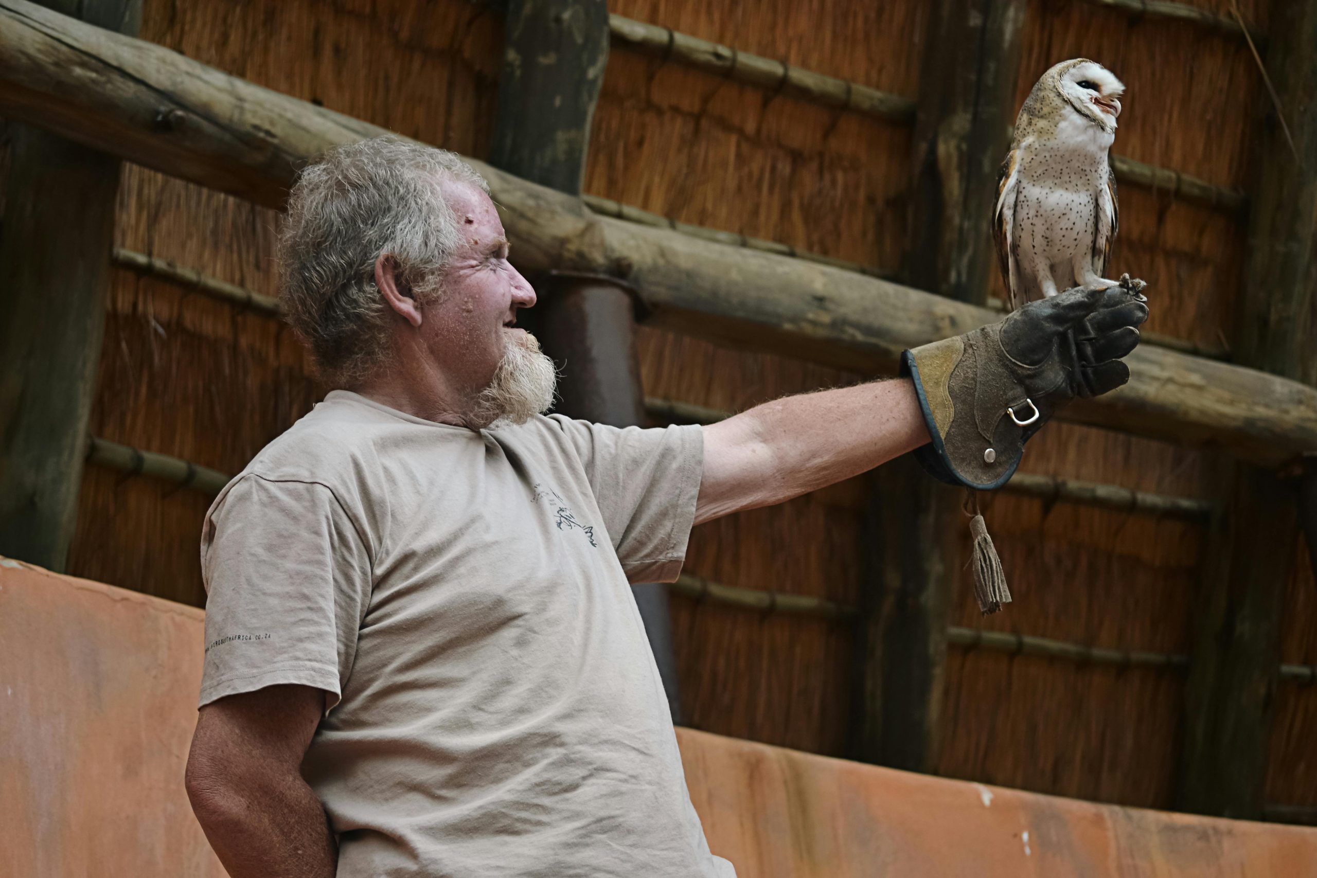 Elderly Man Holding Owl on Glove